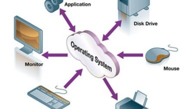 system justification